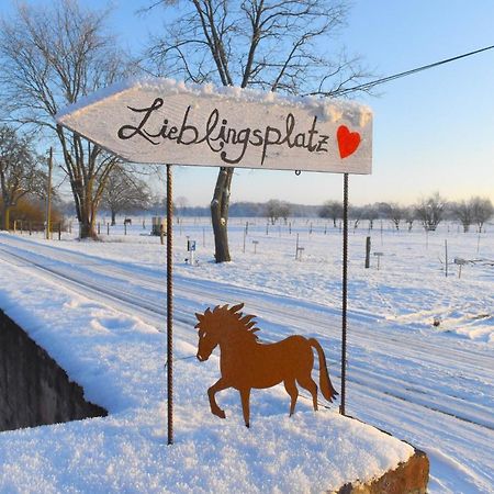 Ferienwohnung Auf Pferdehof Dreetz Exteriör bild