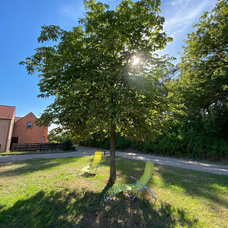Ferienwohnung Auf Pferdehof Dreetz Exteriör bild