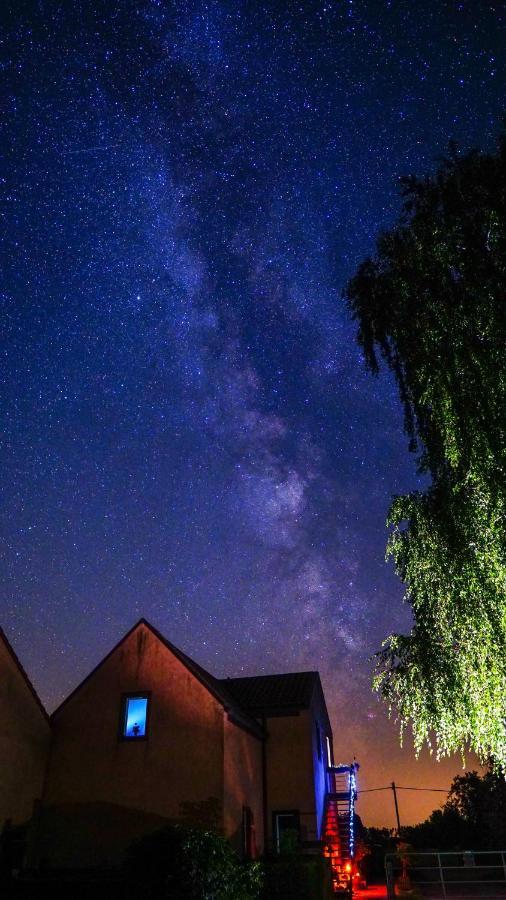 Ferienwohnung Auf Pferdehof Dreetz Exteriör bild