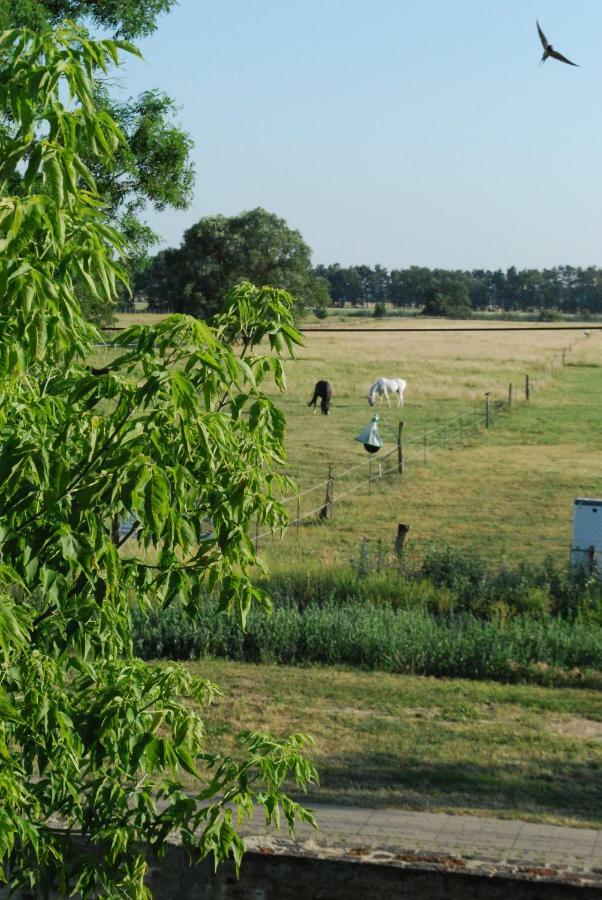 Ferienwohnung Auf Pferdehof Dreetz Exteriör bild
