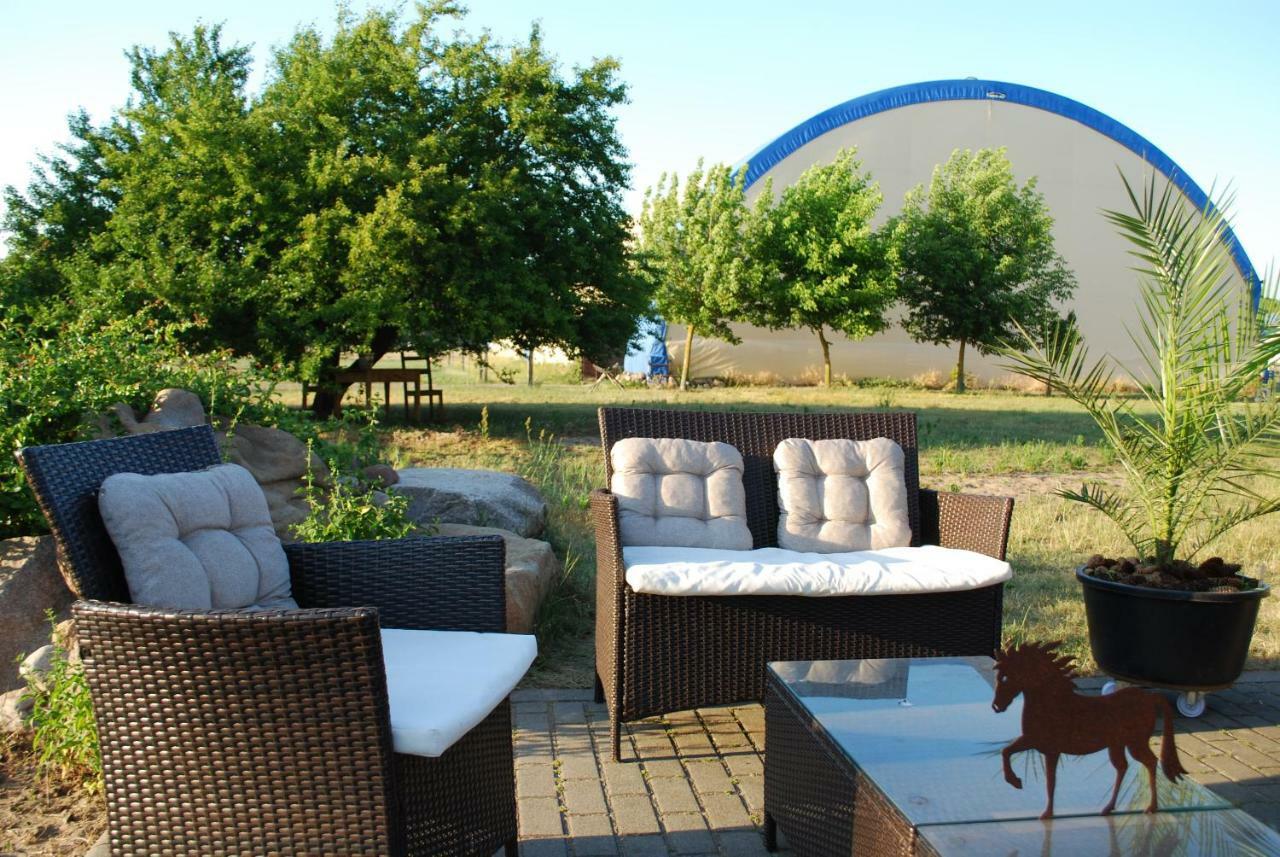 Ferienwohnung Auf Pferdehof Dreetz Exteriör bild