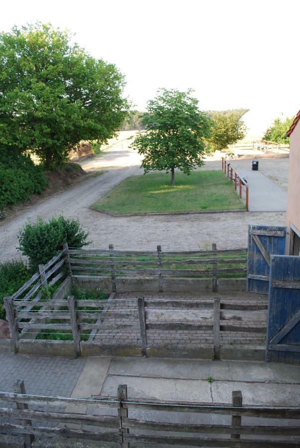 Ferienwohnung Auf Pferdehof Dreetz Exteriör bild
